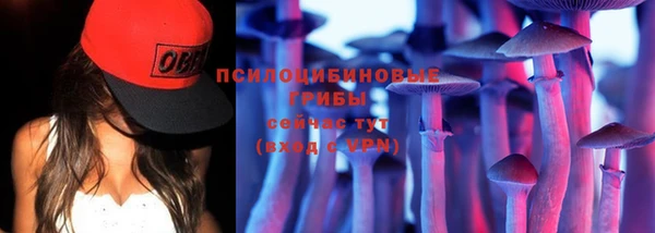 герыч Арсеньев