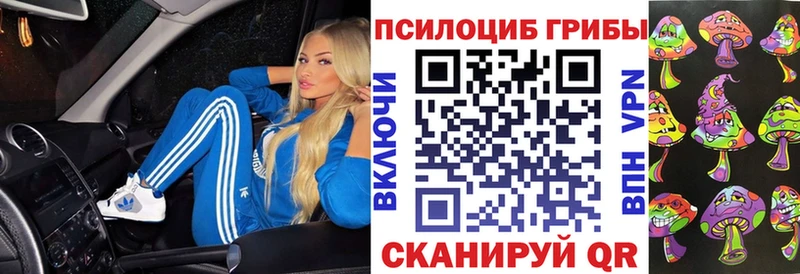 Галлюциногенные грибы Magic Shrooms  Курганинск 