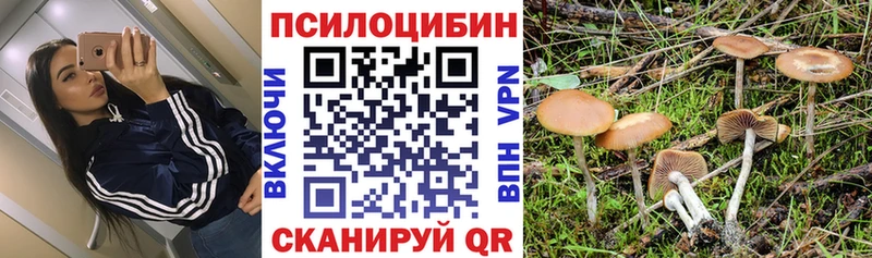 Галлюциногенные грибы MAGIC MUSHROOMS Курганинск